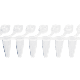 PCR strip 0.1mL 8-strip tubes, Bevestigde optical flat cap, Naturel