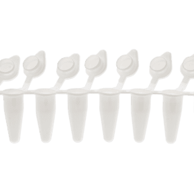 PCR strip 0.1mL 8-strip tubes, Bevestigde optical flat cap, Wit