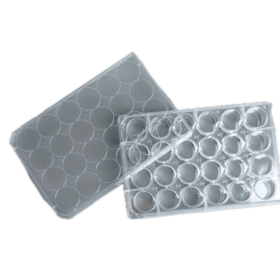 24-Wells Celkweek Multiwell Platen