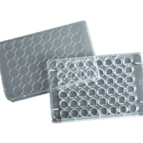 48-Wells Celkweek Multiwell Platen