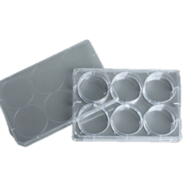 6-Wells Celkweek Multiwell Platen