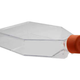 175cm² Celkweekflessen | Filterdop