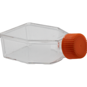 25cm² Celkweekflessen | Schroefdop | TC