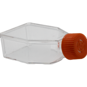 25cm² Celkweekflessen | Filterdop