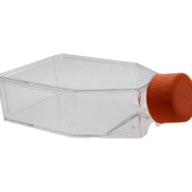 75cm² Celkweekflessen | Schroefdop