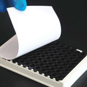 Afdichtingsfolie (Wit) | Zelfklevend