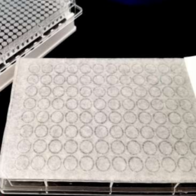 Afdichtingsfilm voor Biologische Culturen (Micro) | Zelfklevend