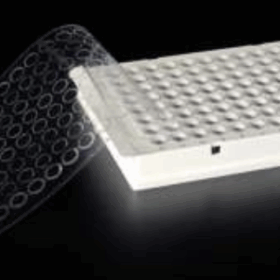 Optische qPCR-Folie 110um | Drukgevoelig